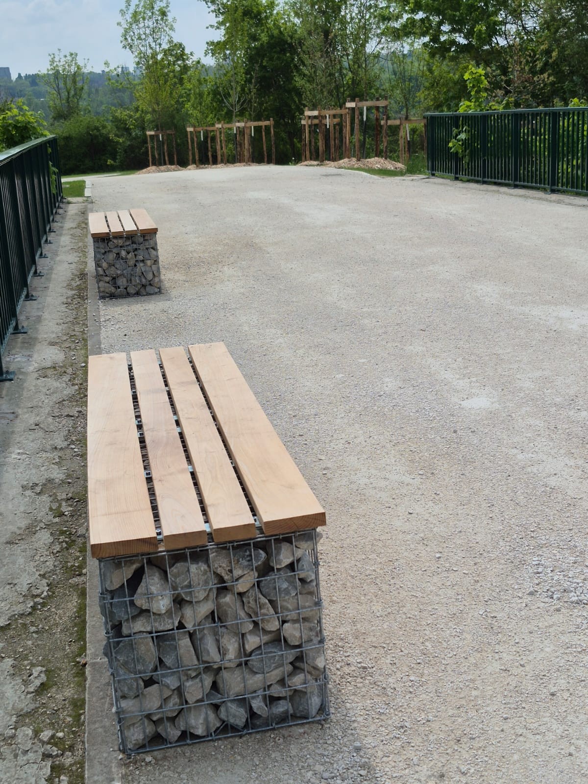 Ahzp ruelleloups02